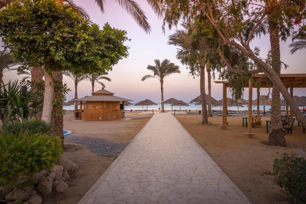 Palmera Chalets Owners Best Vacation Group Families Only Αΐν Σούχνα Εξωτερικό φωτογραφία