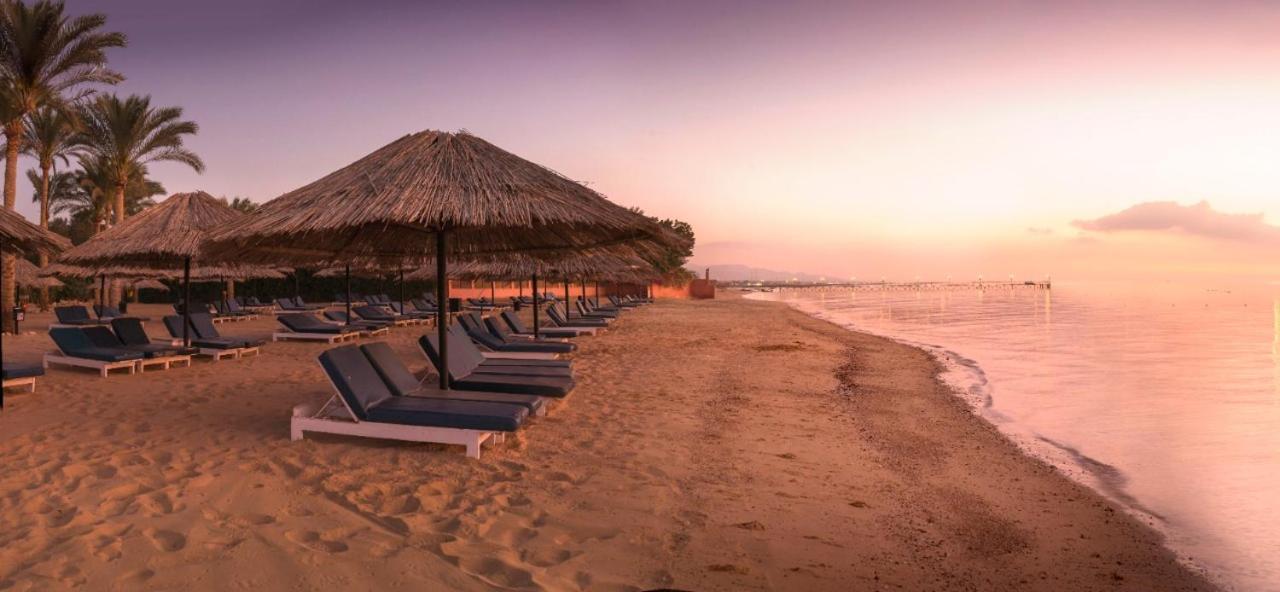 Palmera Chalets Owners Best Vacation Group Families Only Αΐν Σούχνα Εξωτερικό φωτογραφία