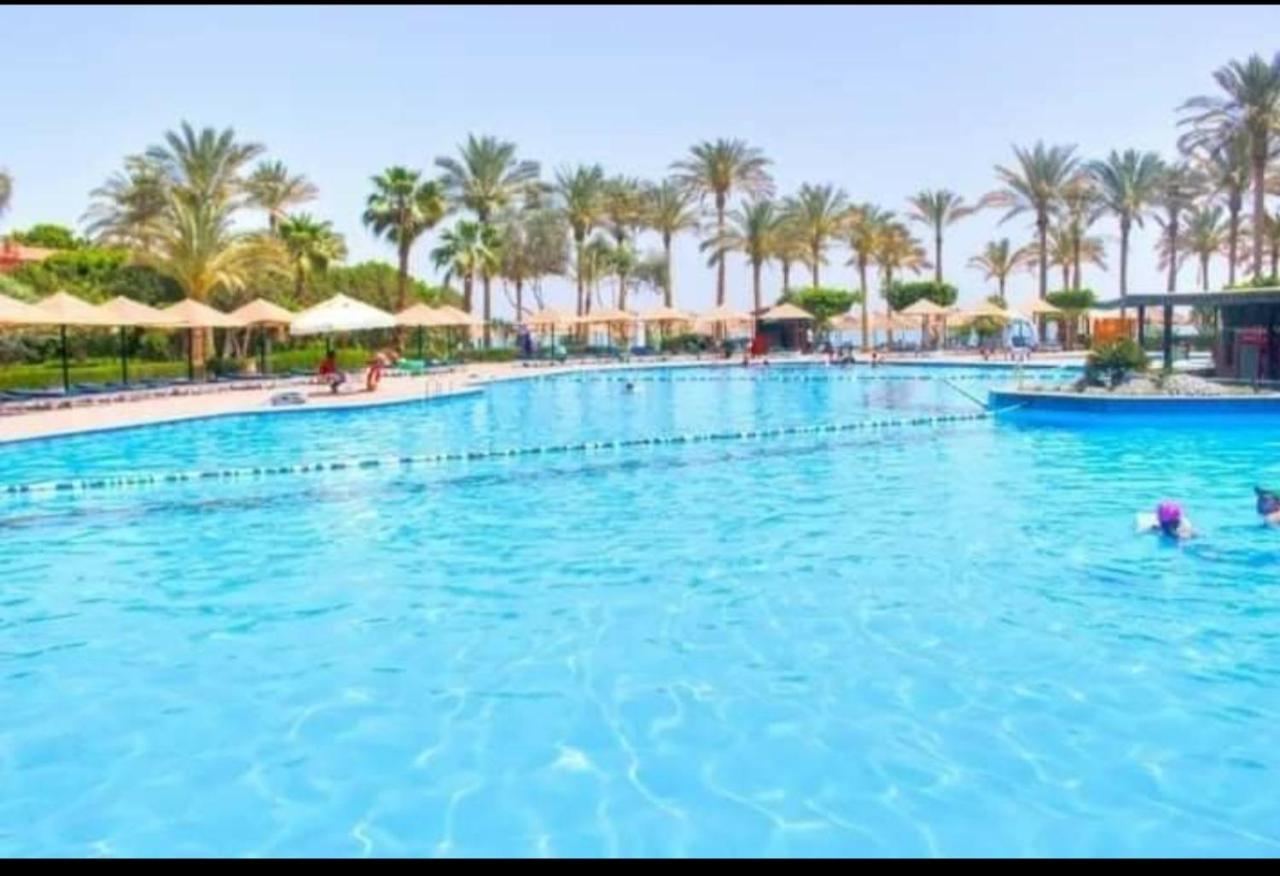 Palmera Chalets Owners Best Vacation Group Families Only Αΐν Σούχνα Εξωτερικό φωτογραφία